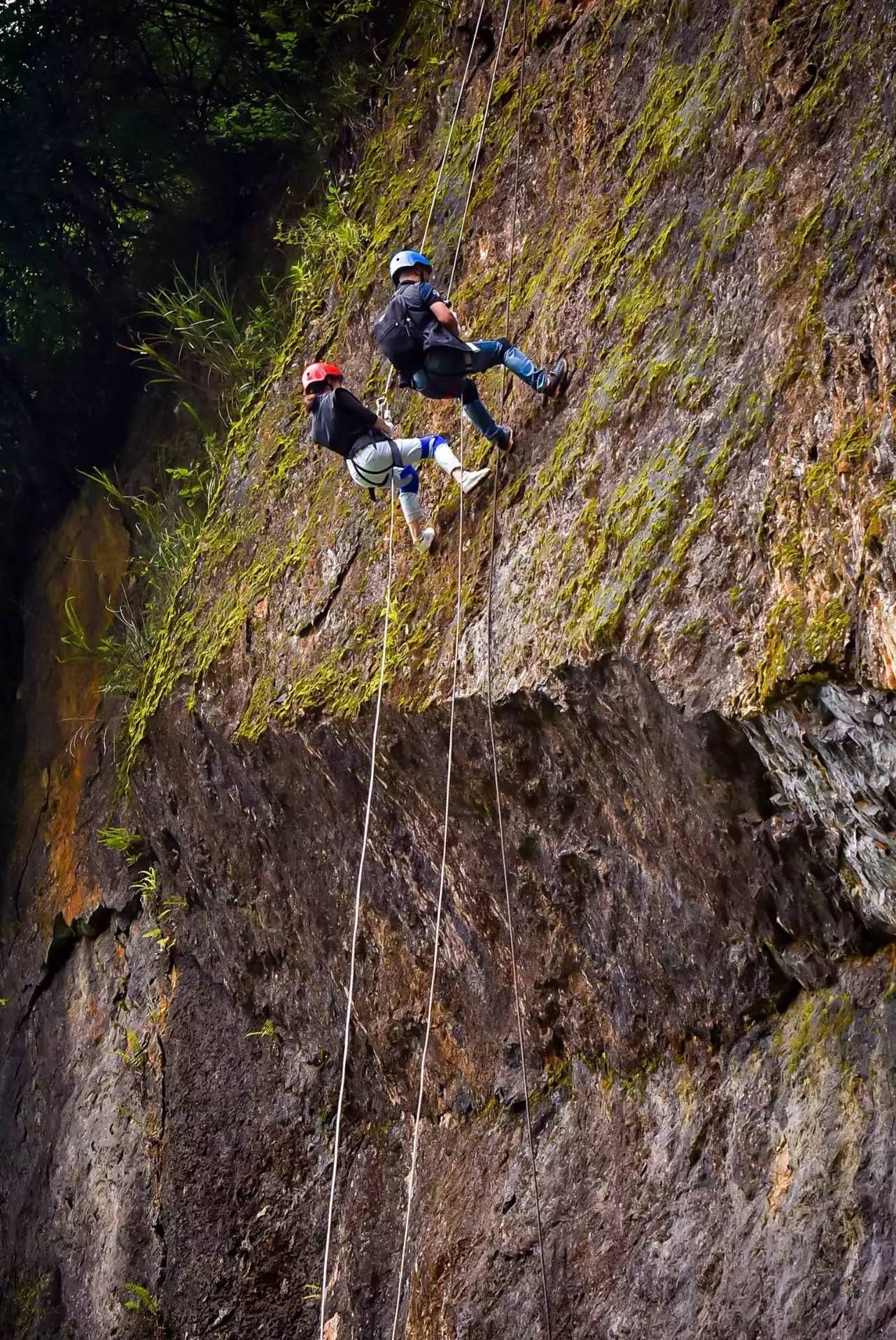 摩纳哥将在洛里昂展开征服之旅